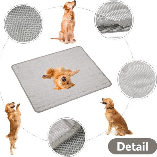 Zomerproof met de IJszijde Koelmat – Voor Hond & Kat