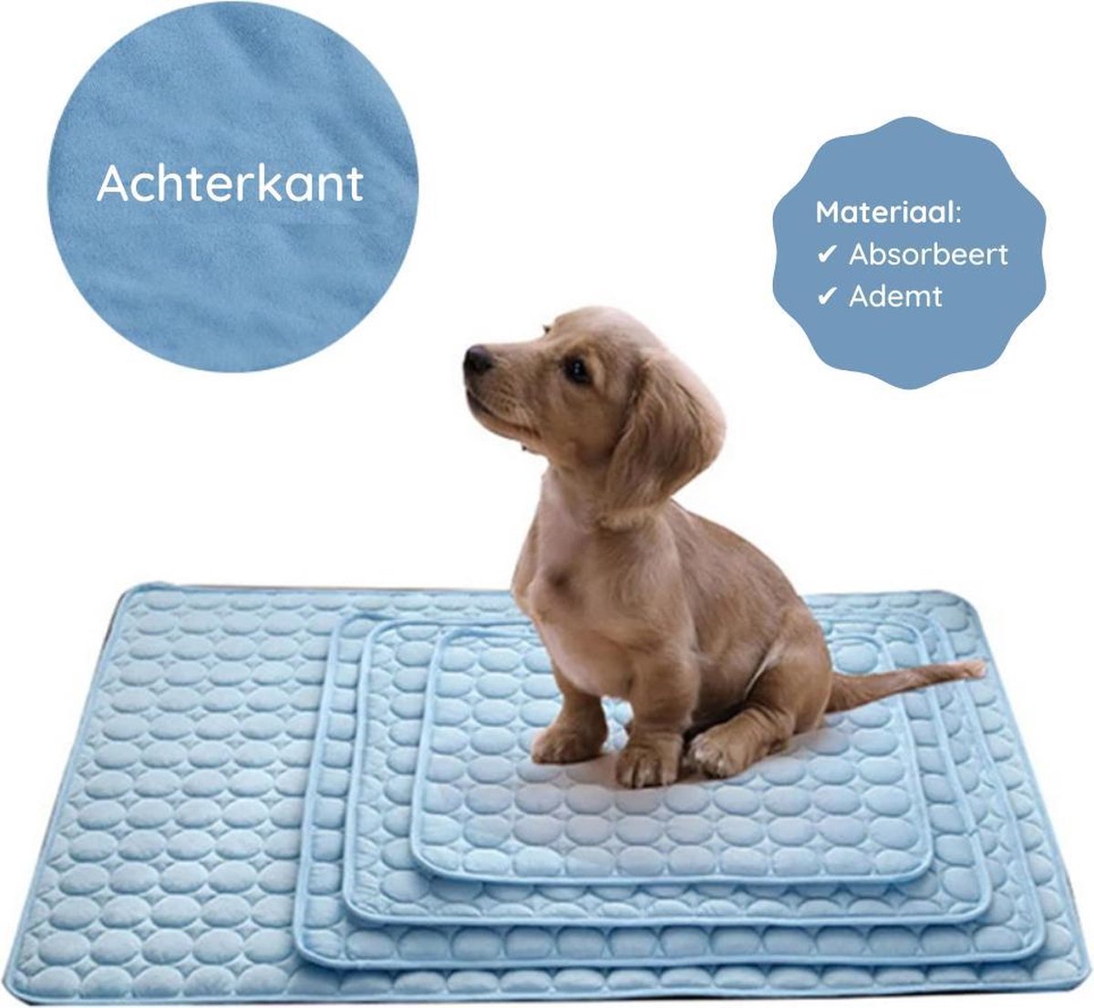 Zomerproof met de IJszijde Koelmat – Voor Hond & Kat