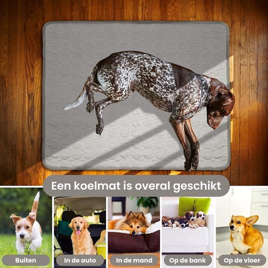 Zomerproof met de IJszijde Koelmat – Voor Hond & Kat