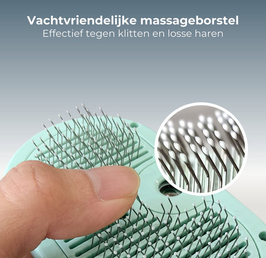Petclean Pro - Zelfreinigende Stoomborstel voor Huisdieren